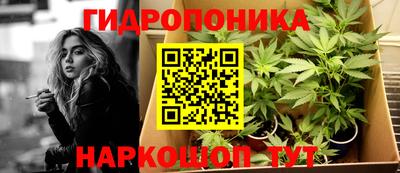 СК Аргун