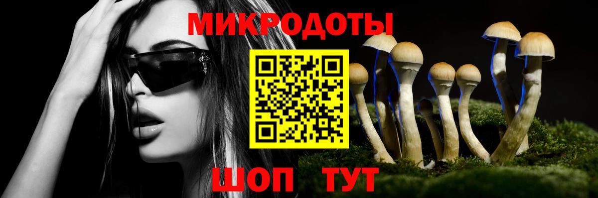 Галлюциногенные грибы Psilocybe Богородицк