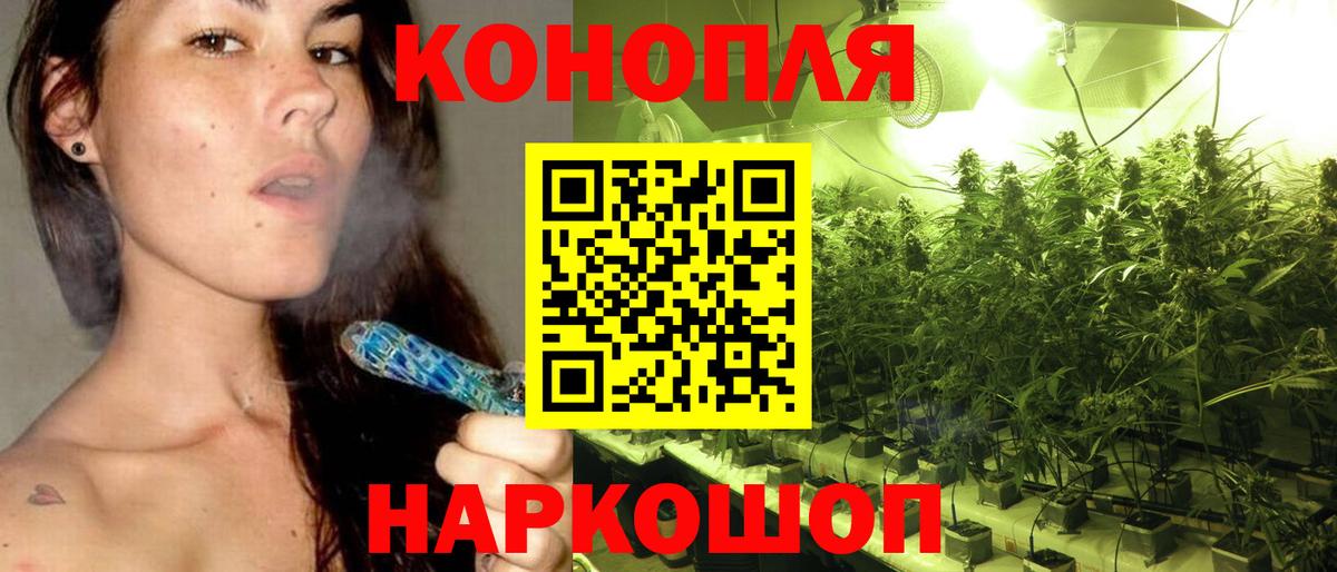 Канабис план Богородицк